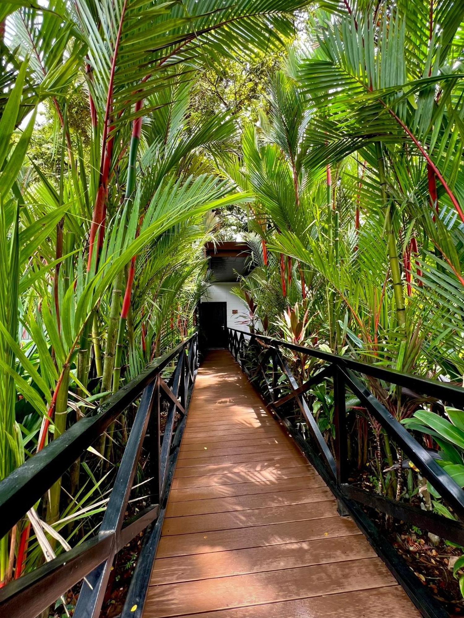 Hotel Boutique Casa Del Rio La Fortuna Ngoại thất bức ảnh